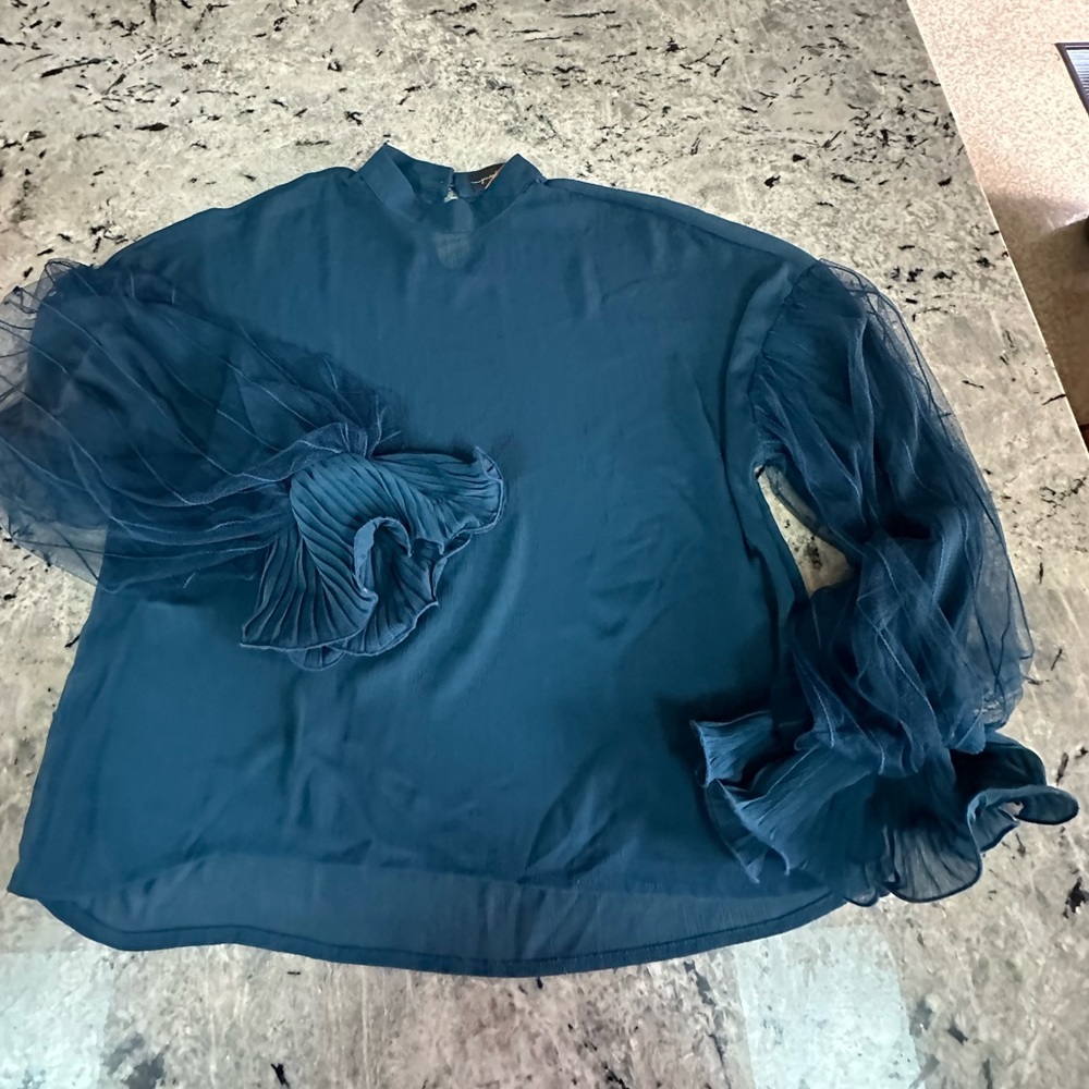 Sheer Teal Blouse with ruffle Balloon Sleeves